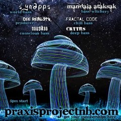 Cowboy Bass (Live at Praxis 2019)