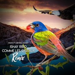 Ishay Ribo - Comme les oiseaux - Shatz ft Mendel Moses (Remix)