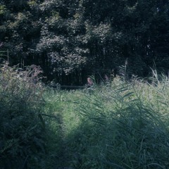 Don't Weep - Fi llits