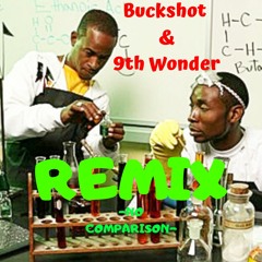 Buckshot & 9th Wonder- No comparison (Diggin Sound Remix)