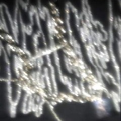 enchanted