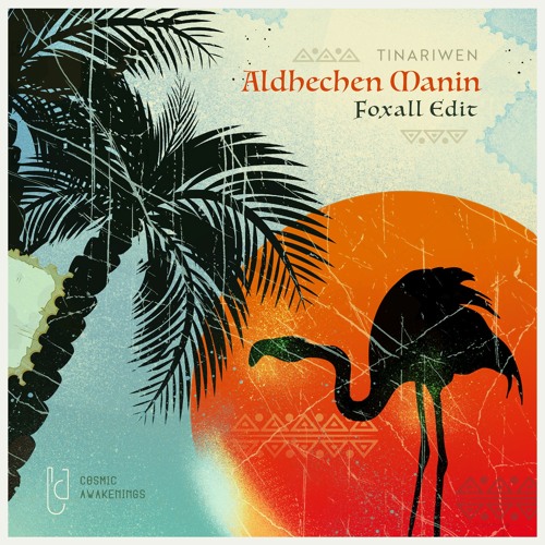 Tinariwen - Aldhechen Manin (Foxall Edit)