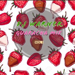 Dj Warner Guaracha Mix 2019 Vol 1