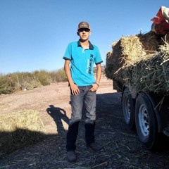 TRABAJA CORNELIO - DjFLacko