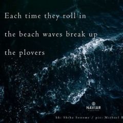 Each time they roll in the beach waves break up the plovers ( Naviarhaiku 293 )