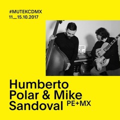 Mutek 1
