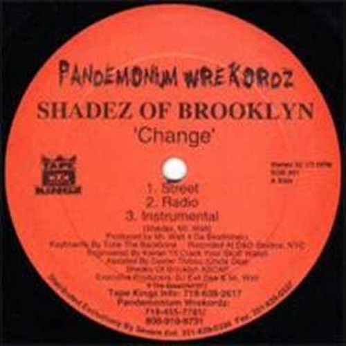 Shadez Of Brooklyn -  Change