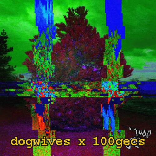 STUPID HORSE - 100GECS (DOGWIVES BREAKNECK REMIX)