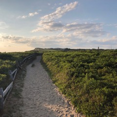 ⭐️⭐️⭐️⭐️⭐️