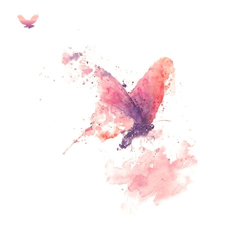 Virginia Palms - Fade