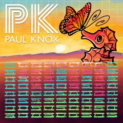 Burning Man Mixes - Paul Knox