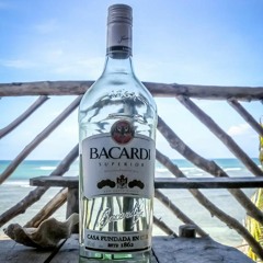 Primitive Alchemy: Bacardi on the Beach With You