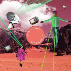 Microwaves (Venice Calypso Remix)