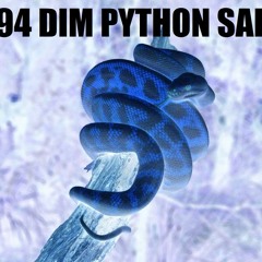94 DIM - Python Salé