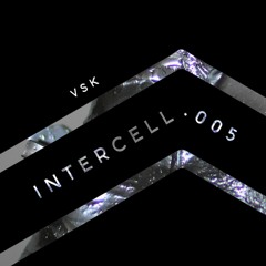 Intercell.005 - VSK