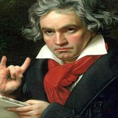 Ama Sus Pollitos - Claro de Luna de Bethoven 1st Movement - Albert Korman