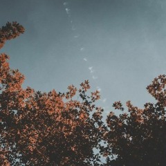 Chenh Venh (Prod. VAMJ)