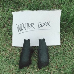 Winter Bear Cover by Misa