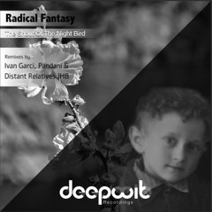 Radical Fantasy - The Shout Of The Night Bird (DEEPWIT Recordings)