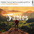 Artwork for Ferry Tayle with XiJaro & Pitch - Lost In Memories [FSOE Fables]