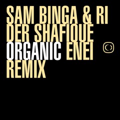 Sam Binga & Rider Shafique - Organic (Enei Remix)