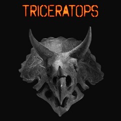 Triceratops Dats [23-24]  80 160 RDX 1