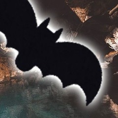 Bat Lake