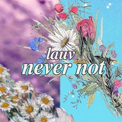 Lauv - never not ❁ 신지훈