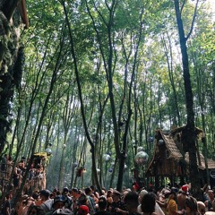 KRΔUT & Space Kadett at Garbicz Festival 2019,  Dickicht Floor