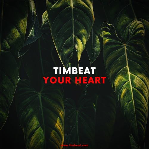 TimBeat - Your Heart (Radio Mix)