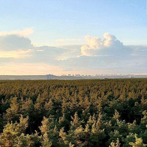 Gaelle - Transient (Different Light DNB Remix)