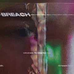 Cellophane - Fka Twigs (dream beach bootleg)