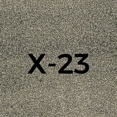 X-23 (prod. PHXNTOM)
