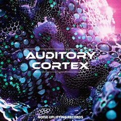 Frequenzy Modulation