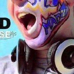 No Levels (Avicii vs. Waka Flocka) MadHouse Mashup