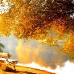 Autumn Morning At The Piano - Savin production