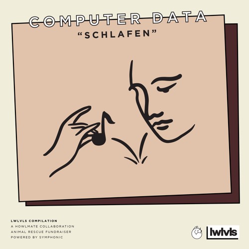 LL005 COMPUTER DATA - Schlafen