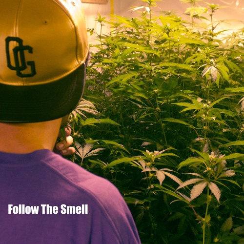 Drezza - Follow The Smell