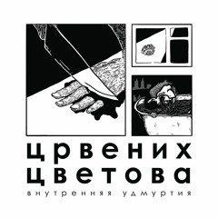 црвених цветова - канцелярский нож и любви не миновать