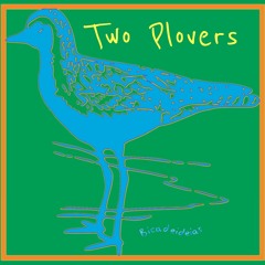 Two Plovers (naviarhaiku293)