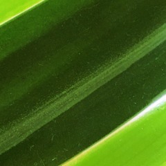 staticCalifornia{disquiet0398}