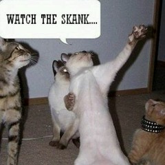 Slipmode - Go Down  MARIA LE BELLE