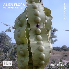 Alien Flora w/ Chlorys & Dragoș ─ Noods Radio (15.08.19)