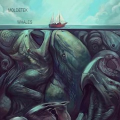 Whales · Moldetek [EXTRACT LIVE]