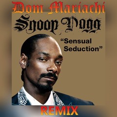 Snoop Dogg - Sensual Seduction (Dom Mariachi Remix)
