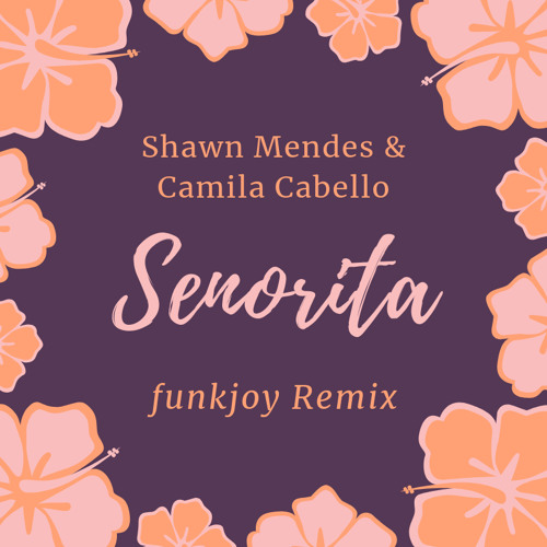 Senorita Remix Dj Priyanka Download Now Single Dj Remix Dj Remix Remix Latest Bollywood Songs