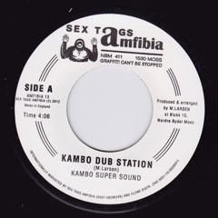 Kambo Dub Station (Vinyl Preview)
