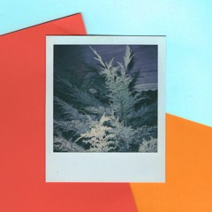 Victor Internet - VEINS
