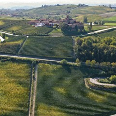 Giovanni Sordo 8 Cru's Bracket 1 The Playful