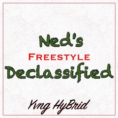 Ned's Declassified Freestyle